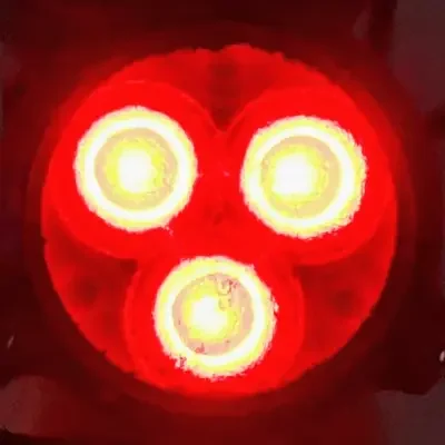 zchap Avatar